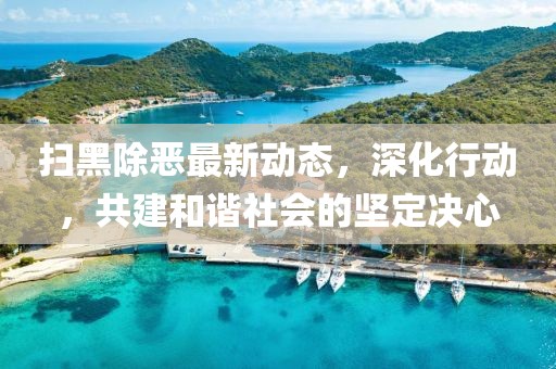 扫黑除恶最新动态，深化行动，共建和谐社会的坚定决心