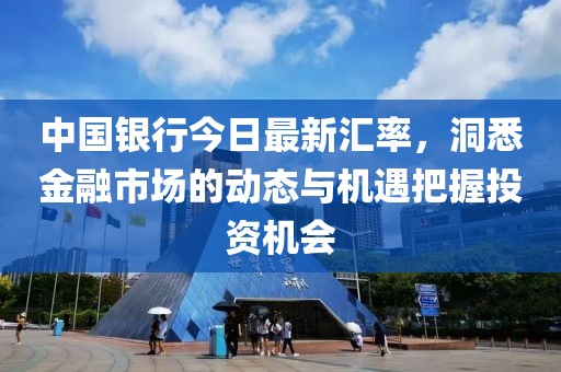 中国银行今日最新汇率，洞悉金融市场的动态与机遇把握投资机会