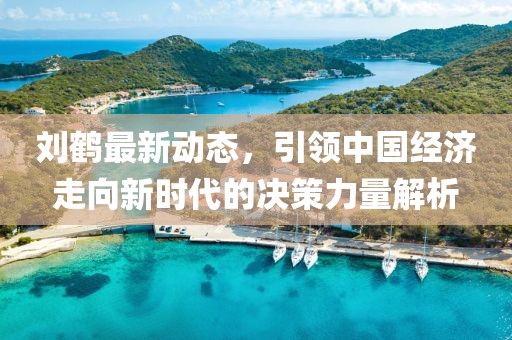 刘鹤最新动态，引领中国经济走向新时代的决策力量解析