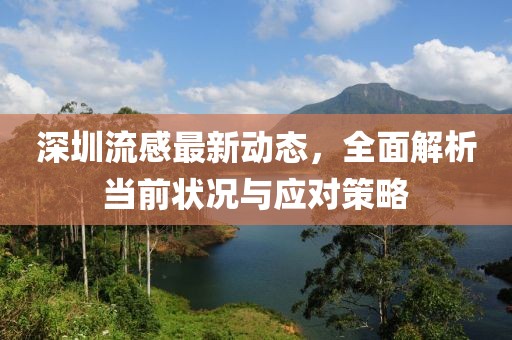 深圳流感最新动态，全面解析当前状况与应对策略