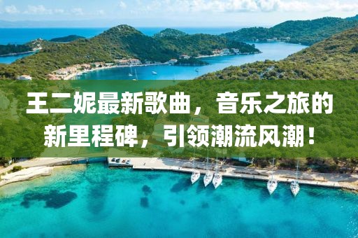 王二妮最新歌曲，音乐之旅的新里程碑，引领潮流风潮！