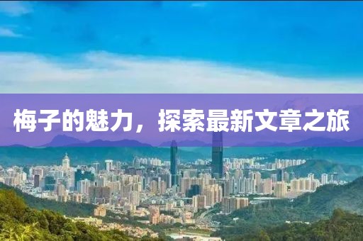 梅子的魅力，探索最新文章之旅