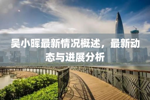 吴小晖最新情况概述，最新动态与进展分析