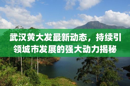 武汉黄大发最新动态，持续引领城市发展的强大动力揭秘