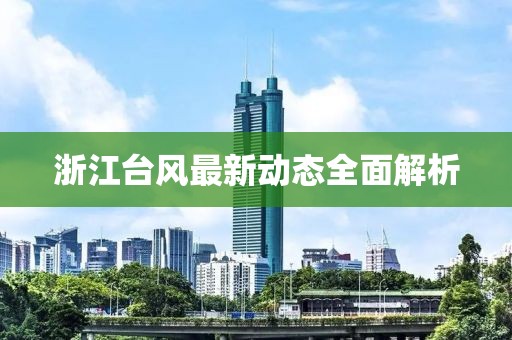 浙江台风最新动态全面解析