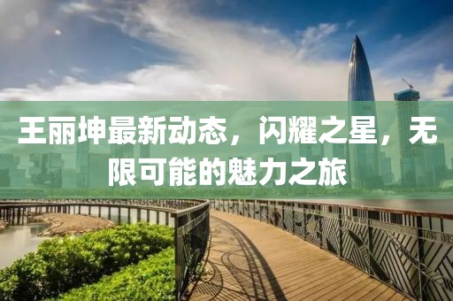 王丽坤最新动态，闪耀之星，无限可能的魅力之旅