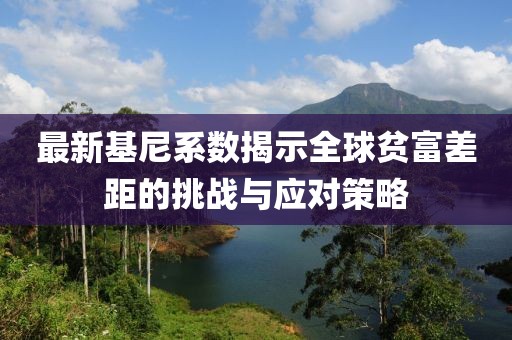 最新基尼系数揭示全球贫富差距的挑战与应对策略