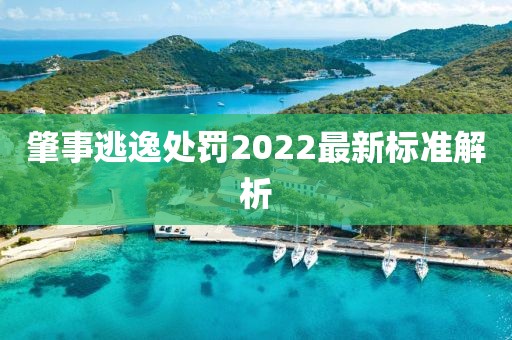 肇事逃逸处罚2022最新标准解析