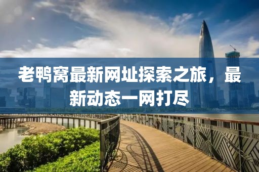 老鸭窝最新网址探索之旅，最新动态一网打尽