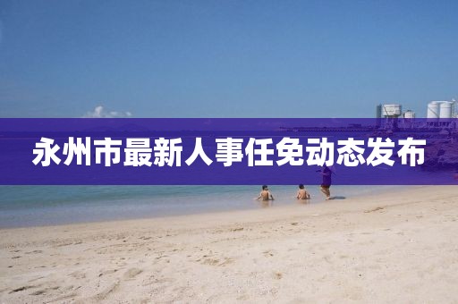 永州市最新人事任免动态发布