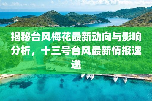 揭秘台风梅花最新动向与影响分析，十三号台风最新情报速递