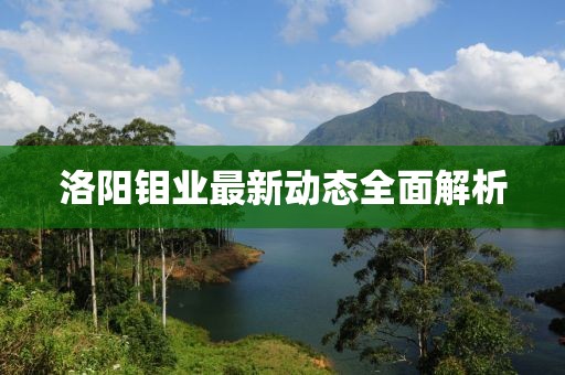 洛阳钼业最新动态全面解析