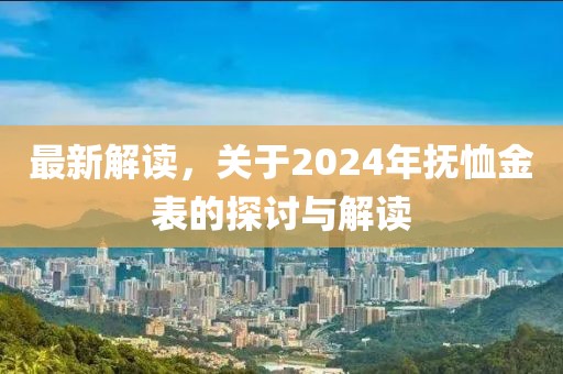 最新解读，关于2024年抚恤金表的探讨与解读