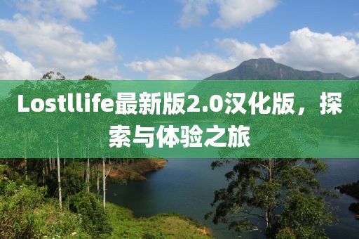 Lostllife最新版2.0汉化版，探索与体验之旅