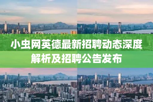 小虫网英德最新招聘动态深度解析及招聘公告发布