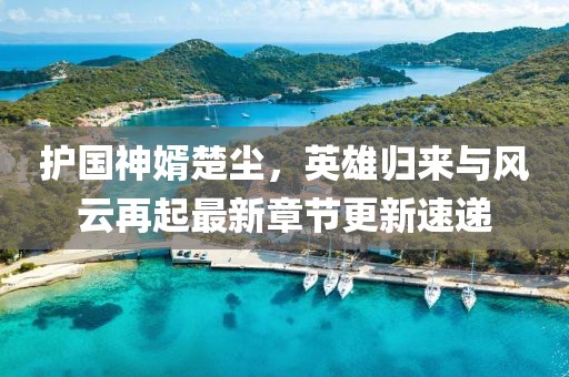 护国神婿楚尘，英雄归来与风云再起最新章节更新速递