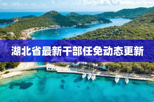 湖北省最新干部任免动态更新