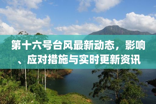 第十六号台风最新动态，影响、应对措施与实时更新资讯