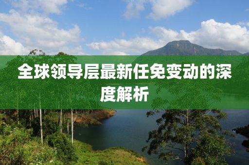 全球领导层最新任免变动的深度解析