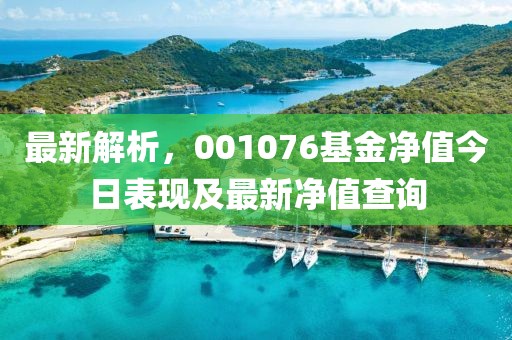 最新解析，001076基金净值今日表现及最新净值查询