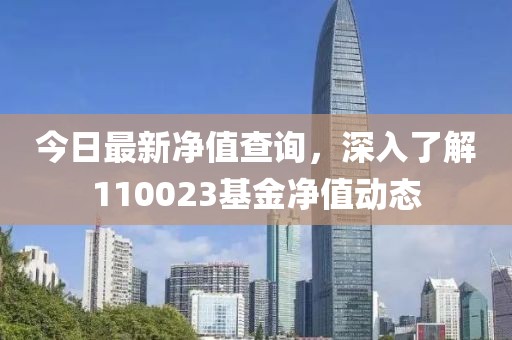 今日最新净值查询，深入了解110023基金净值动态