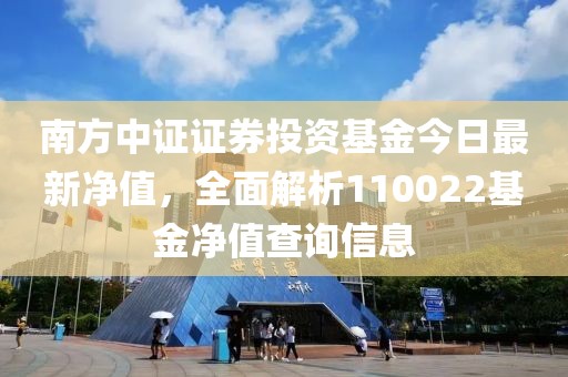 南方中证证券投资基金今日最新净值，全面解析110022基金净值查询信息