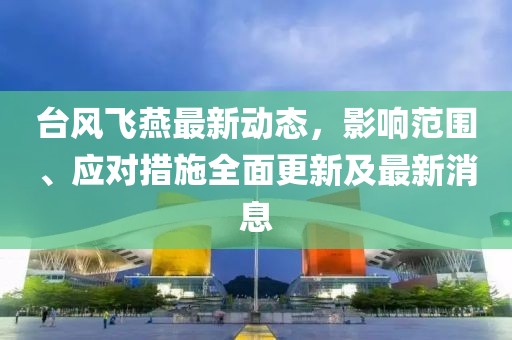 台风飞燕最新动态，影响范围、应对措施全面更新及最新消息