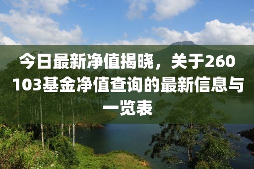 今日最新净值揭晓，关于260103基金净值查询的最新信息与一览表