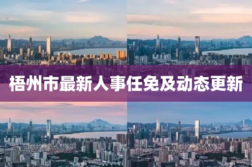 梧州市最新人事任免及动态更新