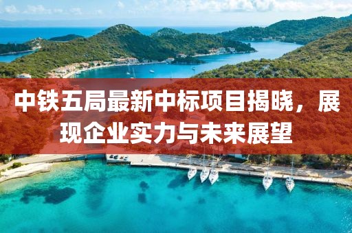 中铁五局最新中标项目揭晓，展现企业实力与未来展望