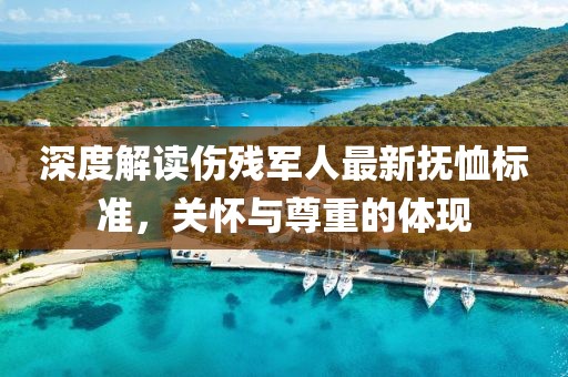 深度解读伤残军人最新抚恤标准，关怀与尊重的体现