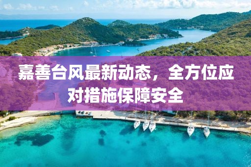 嘉善台风最新动态，全方位应对措施保障安全