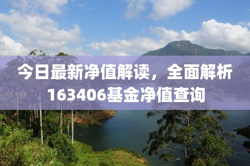 今日最新净值解读，全面解析163406基金净值查询