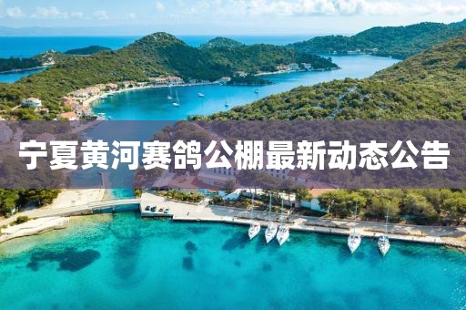 宁夏黄河赛鸽公棚最新动态公告