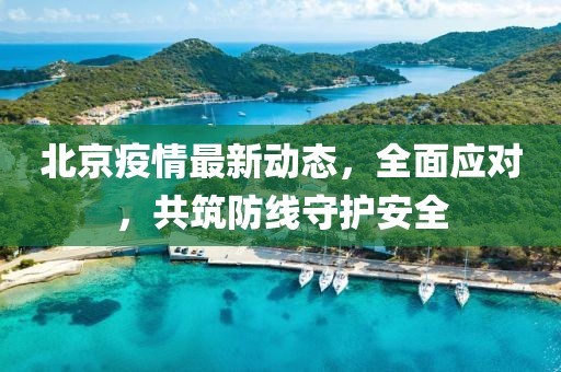 北京疫情最新动态，全面应对，共筑防线守护安全