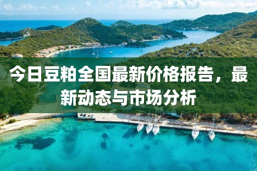 今日豆粕全国最新价格报告，最新动态与市场分析